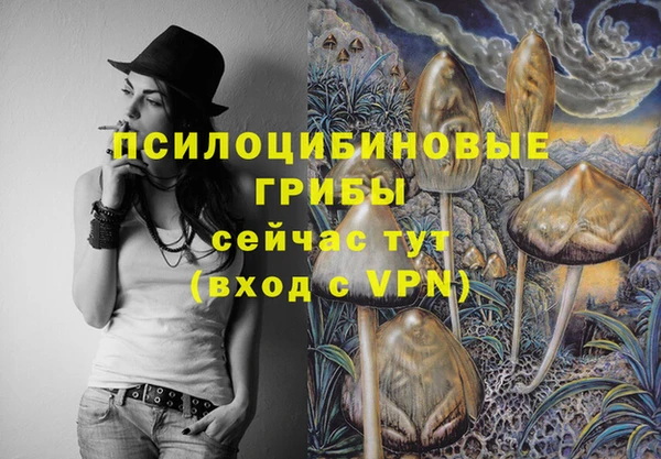 синтетический гашиш Балахна
