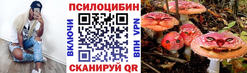 где купить наркоту  Горнозаводск  Псилоцибиновые грибы MAGIC MUSHROOMS 